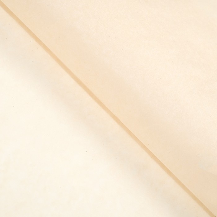 Пергамент жиростойкий для выпечки, 28 см х 50 м Пергамент жиростойкий для выпечки, 28 см х 50 м