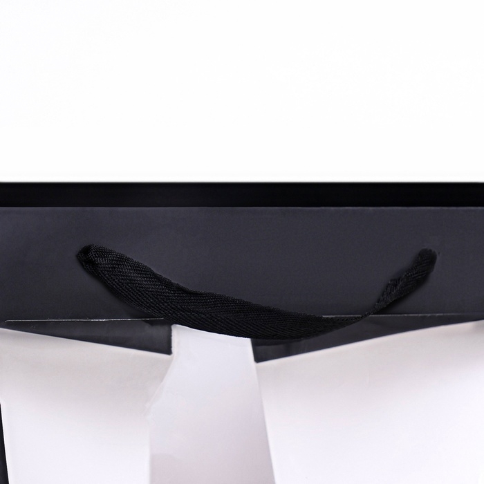 Пакет подарочный, крафт, с окном, «Черный», 30 х 30 х 30 см Пакет подарочный, крафт, с окном, «Черный», 30 х 30 х 30 см