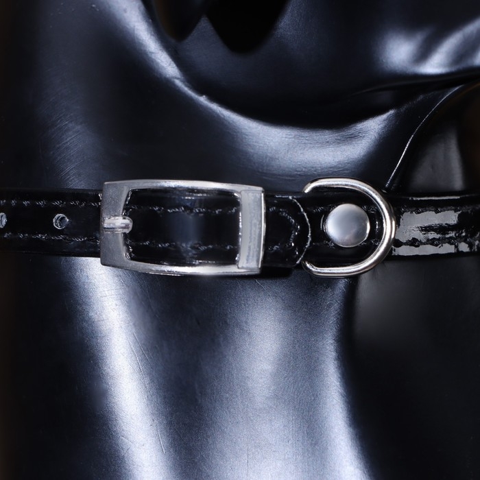 Ошейник Ошейник "Сияние" с бусиной и бубенчиком, 29 х 1 см, ОШ 21-26, чёрный