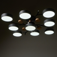 Люстра 1316/9GR LED 216Вт 3000-6000К серый 87х87х17 см BayerLux