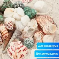 Набор ракушек &laquo;Пижон Аква&raquo;, 200 г, микс №1
