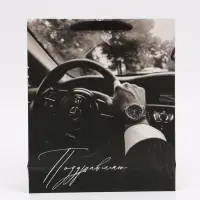 Пакет подарочный «Поздравляю», M 25,5 × 30 × 9 см Пакет подарочный «Поздравляю», M 25,5 × 30 × 9 см