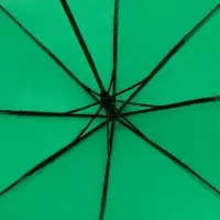 Зонт складной Basic, ver.2, зеленый