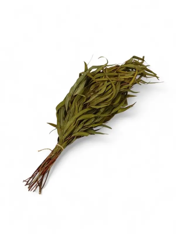 Веник для бани, эвкалиптовый, в еврослоте, &laquo;Добропаровъ&raquo;