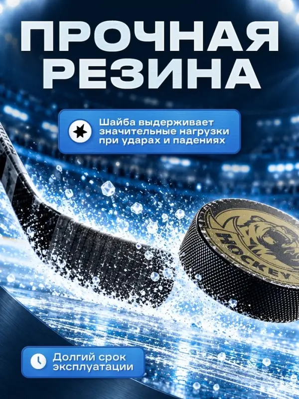 Шайба хоккейная Winter Star, взрослая, d=7.6 см