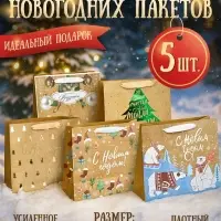 Пакеты подарочные новогодние &laquo;Дарю тебе&raquo;, набор 5 шт., 23&times;27&times;11 см