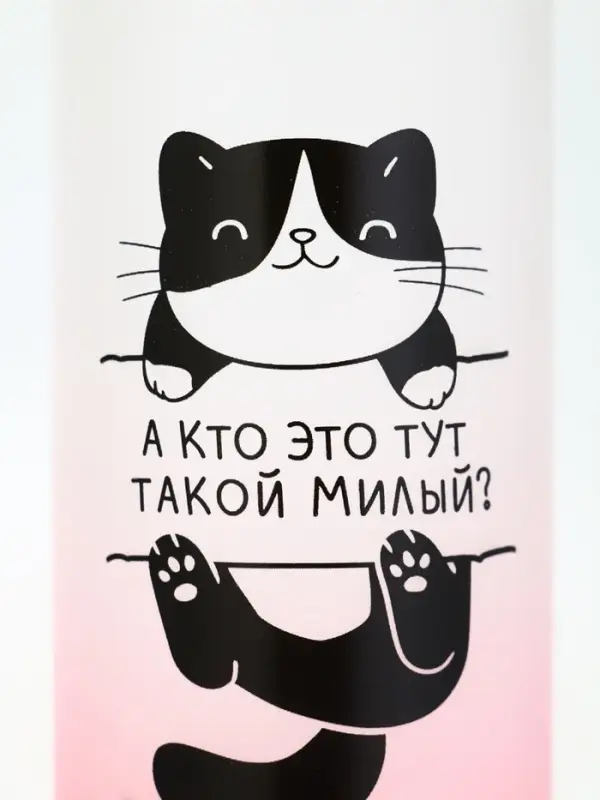 Бутылка для воды «Котя», 300 мл