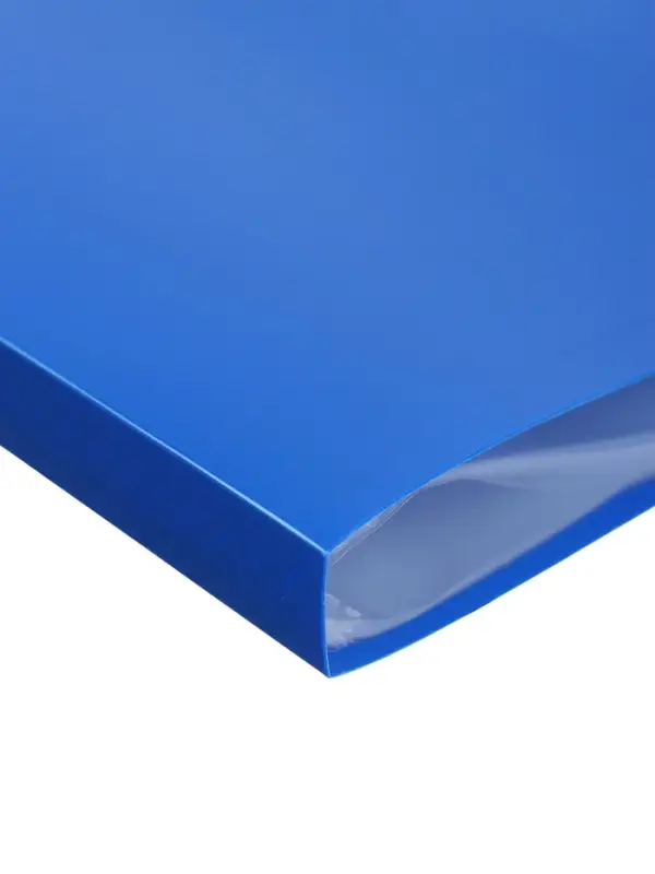 Папка с 30 вкладышами А4, 500 мкм, Calligrata, текстура &laquo;песок&raquo;, синяя