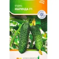Семена Огурец "Маринда" F1 8 шт