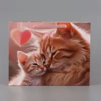Пакет подарочный ламинированный горизонтальный &laquo;Котики&raquo;, 40&times;31&times;11.5 см