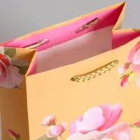 Пакет подарочный ламинированный &laquo;Душевная радость&raquo;, 11.5&times;14.5&times;6.5 см