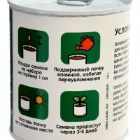 ЭВРИКИ Набор для опытов "Мой мини-сад", огурец