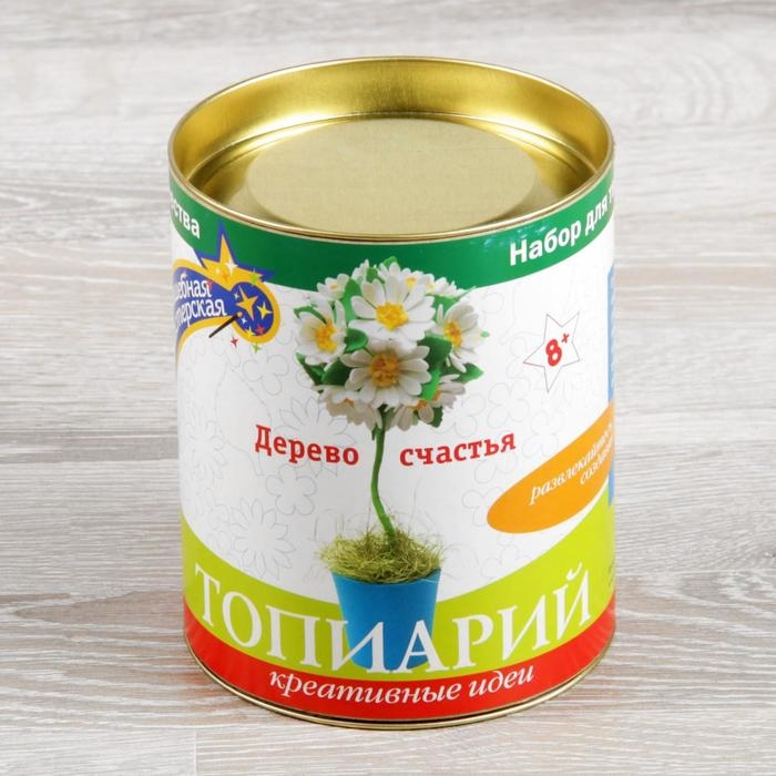 Набор для создания топиария малого «Ромашки» Набор для создания топиария малого «Ромашки»