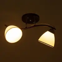 Люстра потолочная BayerLux &laquo;Ирида&raquo;, 2хЕ27, 40 Вт, черно-хромовый, 42&times;19&times;24 см