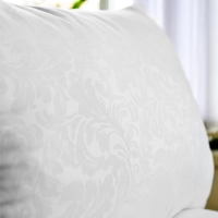 Подушка , 50х70см, (Полиэстер/Полиэстер), 450г, Белая ветка