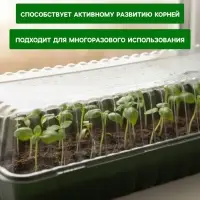 Мини - парник для рассады, 58&times;21&times;12 см, без вставок, тёмно-зелёный, пластик, Greengo