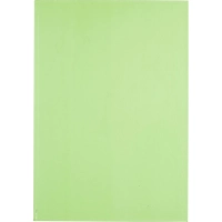 Книга учета 96 листов А4 кл насш бл офс Attache Bright Сolours(об-карт)лайм