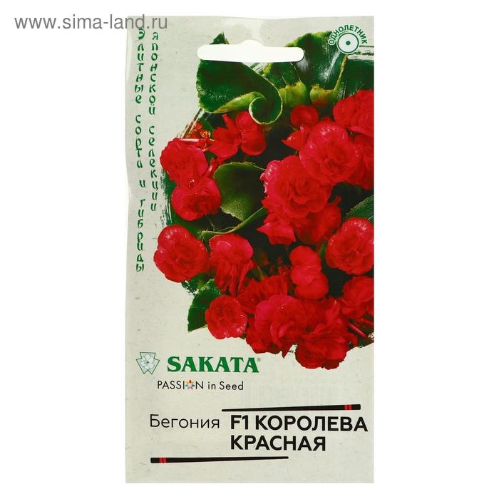 Семена цветов Бегония  Семена цветов Бегония "Королева красная", F1,  вечноцветущая, серия Саката, 4 шт