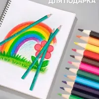 Карандаши Calligrata, цветные, 12 цветов, ЭКОНОМ, шестигранные, пластиковые, пенал-тубус и 3 чернографитных карандаша с ластиком в ПОДАРОК