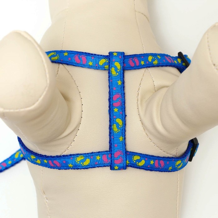 Комплект  Комплект "Цветные следы", ширина 1 см, поводок 120 см, шлейка 23-35 см, синий