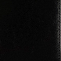 Ежедневник недатированный Attache А5 160л иск.кожа чёрный (золотистый срез)