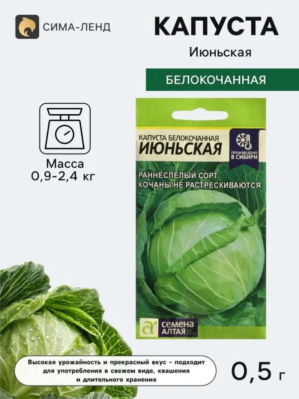 Семена Капуста белокочанная &laquo;Июньская&raquo;, 0.5 г, &laquo;Семена Алтая&raquo;