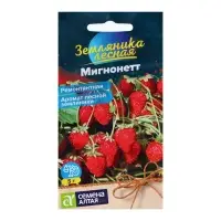 Семена Земляника "Мигнонетт ремонтантная", ц/п,  5 шт
