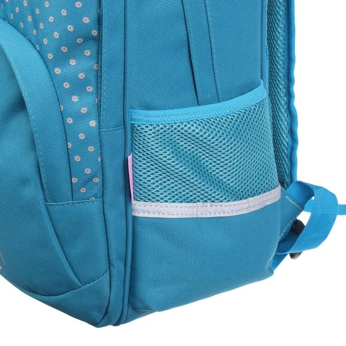 Рюкзак школьный Bruno Visconti Рюкзак школьный Bruno Visconti "Ёжик", 40 х 30 х 19 см, эргономичная спинка, пенал в подарок