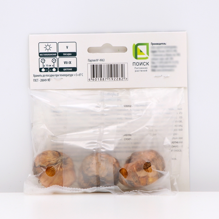 Гладиолус крупноцветковый «Кум Сьюс», луковица цветов в пакете с перфорацией, р-р 10/12, 3 шт.