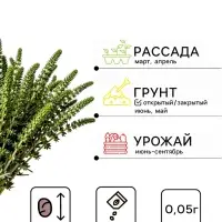 Семена Тимьян &laquo;Радужный&raquo;, 0.05 г, &laquo;Гавриш&raquo;