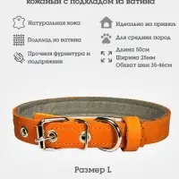 Ошейник, 50&times;2.5 см, подклад из ватина, кожа, оранжевый