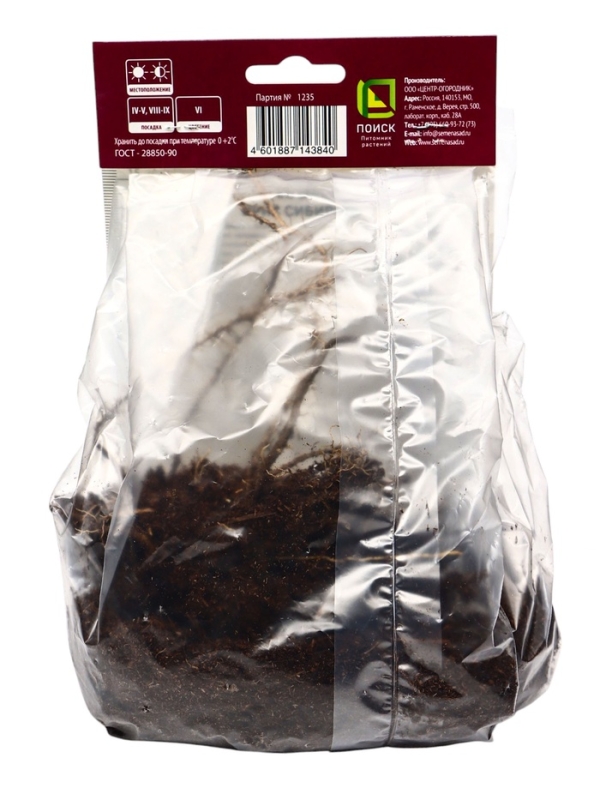 Ирис сибирский Диэ Дилайт, р-р I, 1 шт, Весна 2025 Ирис сибирский Диэ Дилайт, р-р I, 1 шт, Весна 2025