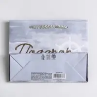 Пакет подарочный ламинированный, упаковка, Present for you, S 15 х 12 х 5.5 cм