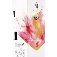 Диффузор ароматический с палочками Holi Inspiration, 50 мл