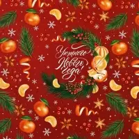 Набор упаковочной бумаги «Зимняя сказка», 4 листа, 70 × 100 см Набор упаковочной бумаги «Зимняя сказка», 4 листа, 70 × 100 см