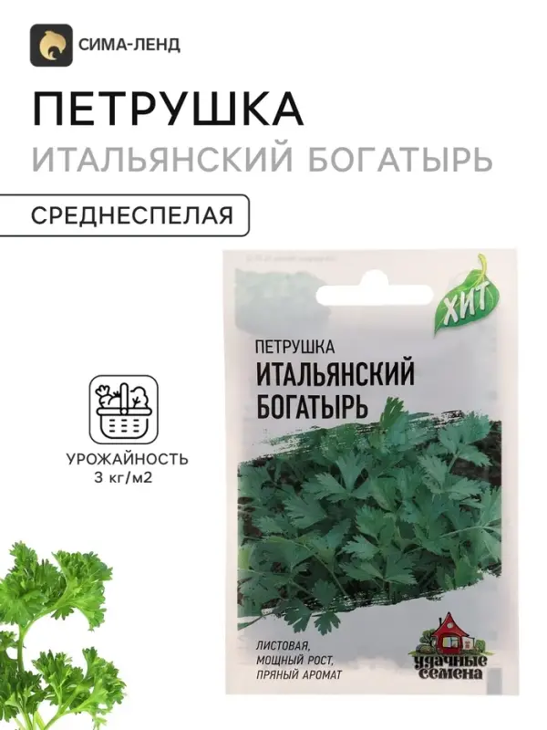 Семена Петрушка &laquo;Итальянский богатырь&raquo;, цветной пакет, 2 г серия ХИТ х3