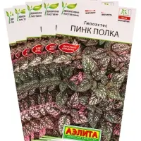 Набор семян Гипоэстес &laquo;Пинк Полка&raquo;, 5 шт.