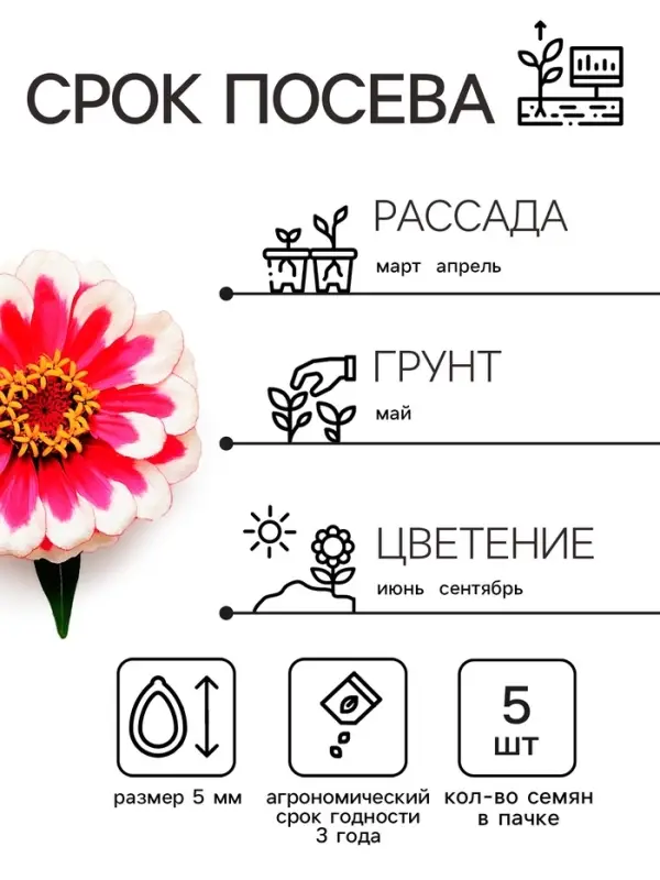 Семена цветов Цинния Захара &laquo;Северная звезда&raquo;, 5 шт., &laquo;Семена Алтая&raquo;