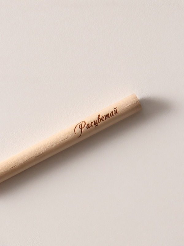 Магнит с блоком для записей и карандашом  Магнит с блоком для записей и карандашом "5 важных правил" 9х13 см