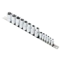 Набор головок 1/2"DR и 1/4"DR TORX 14пр. (E4-E24), пласт.подвес