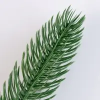 Литая веточка, зелёная, набор 100 шт.