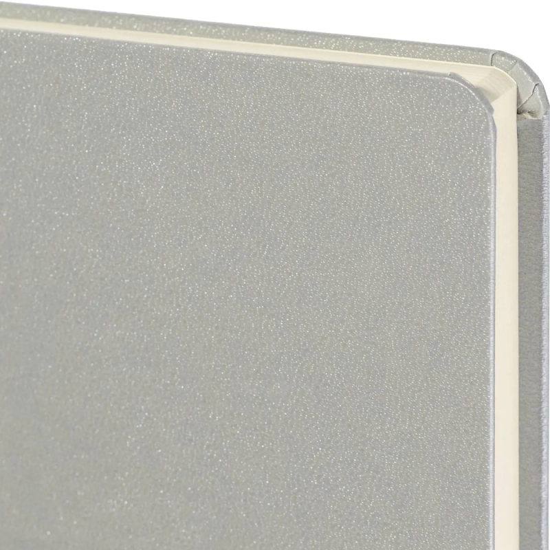 Ежедневник недатированный серебр, MEGAPOLIS А5, 142х214мм,320стр.3-281/07