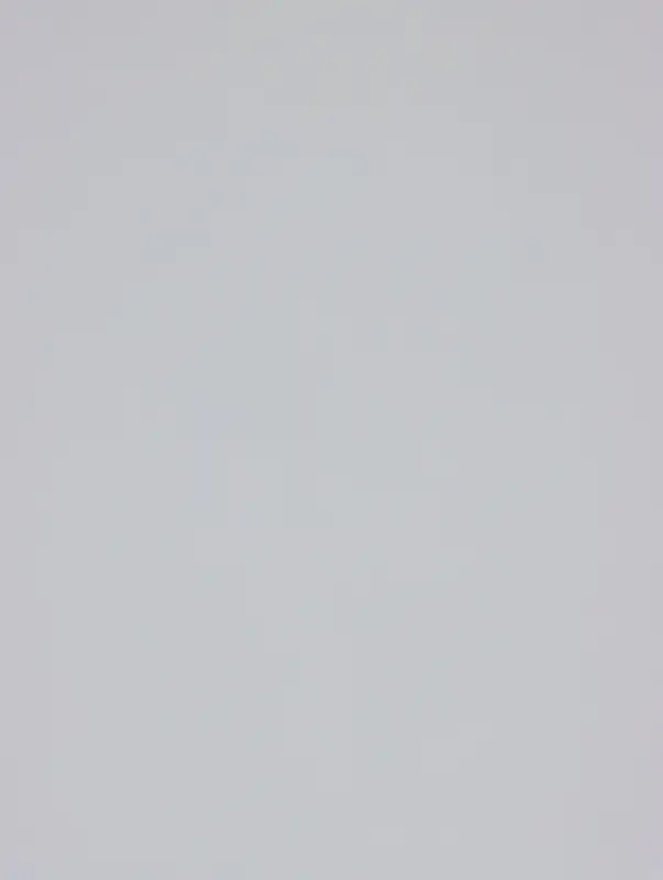 Пленка матовая двухсторонняя для цветов и декора, 50 мкм, 0.6 м × 14.66±5% м, 400 г