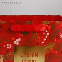 Пакет подарочный новогодний ламинированный «Время волшебства», MS 23 х 18 х 10 см