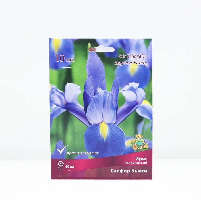 Ирис голландский Сапфир Бьюти, р-р 7/8, 10 шт, Весна 2025 Ирис голландский Сапфир Бьюти, р-р 7/8, 10 шт, Весна 2025