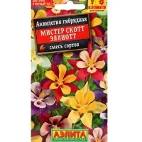 Набор Семена цветов многолетних (218584649) ВБ