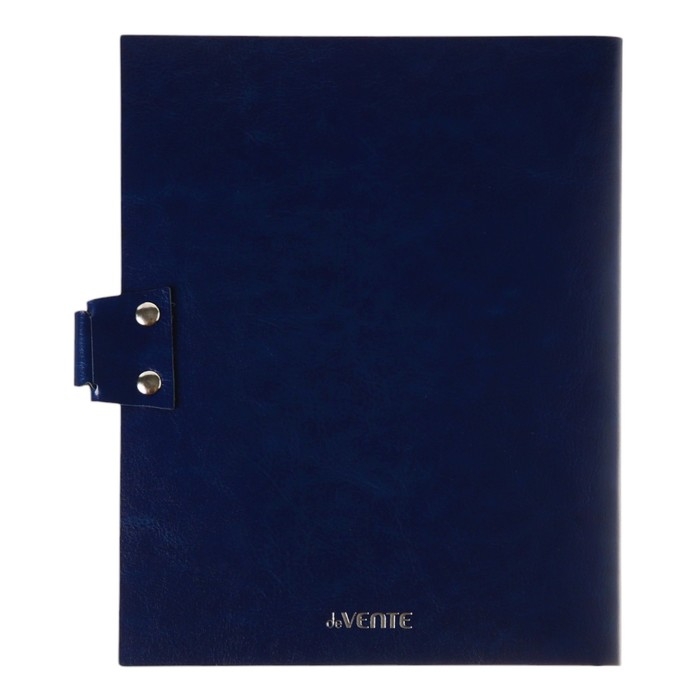 Дневник универсальный для 1-11 класса Favorite, мягкая обложка, на кнопке, искусственная кожа, тиснение фольгой, хлястик, ляссе, 48 листов