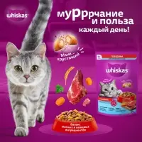 Сухой корм Whiskas для стерилизованных кошек, говядина, 1,3 кг