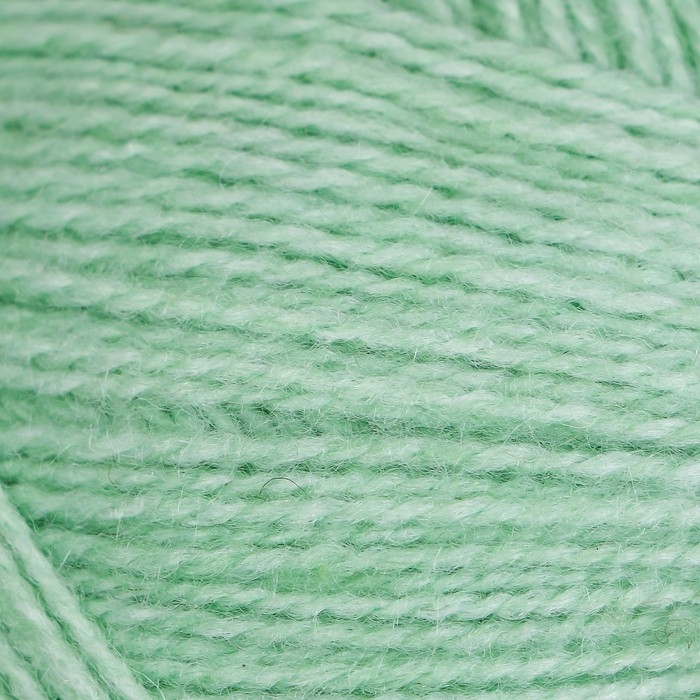 Пряжа для вязания спицами, крючком «Пехорский текстиль. Ангорская тёплая», 40% шерсть, 60% акрил, 480 м/100 г, (09 зел. яблоко)