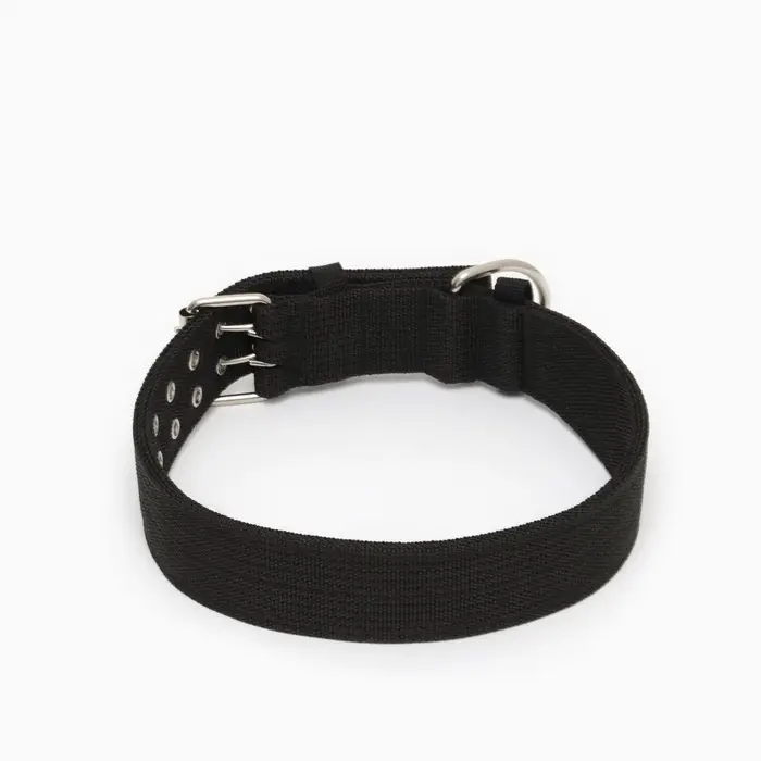Ошейник, 80&times;4.9 см, ОШ 65-75 см, четырёхслойный, полиэстер, чёрный